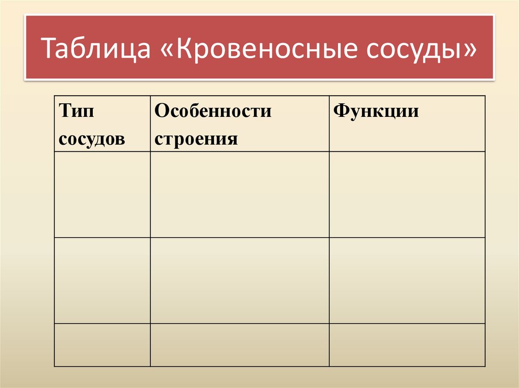 Таблица «Кровеносные сосуды»
