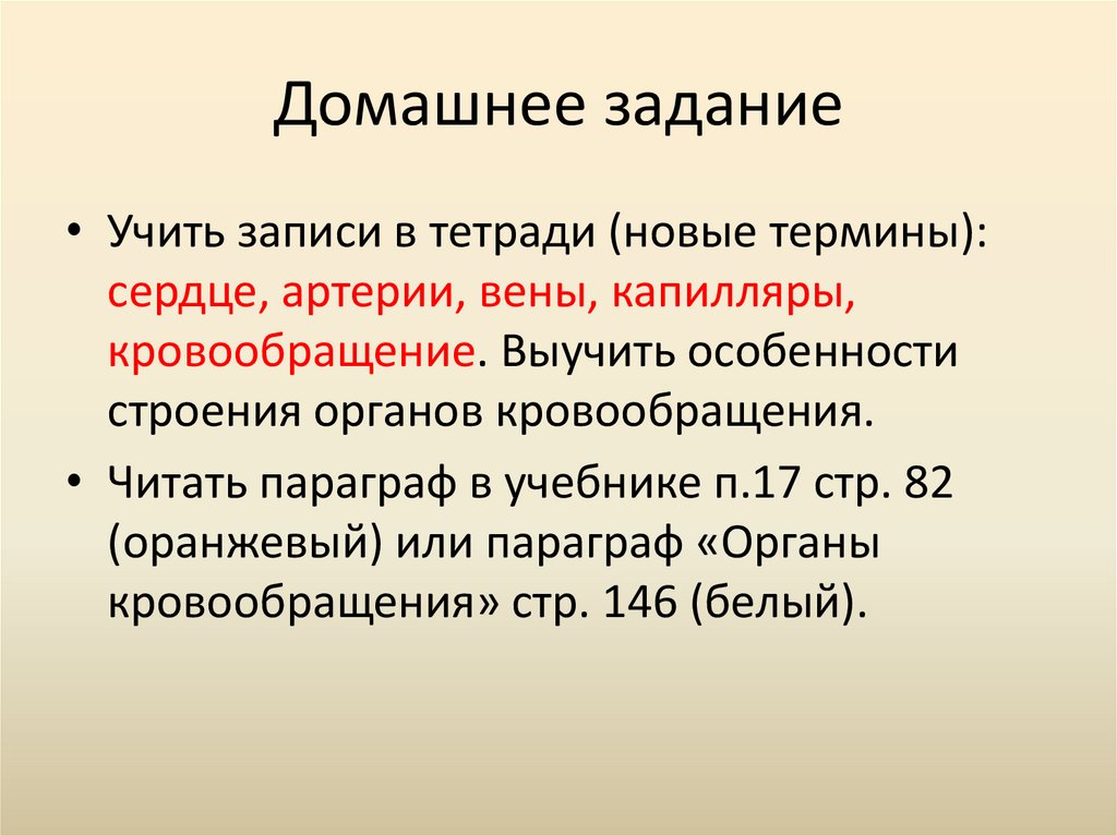 Домашнее задание