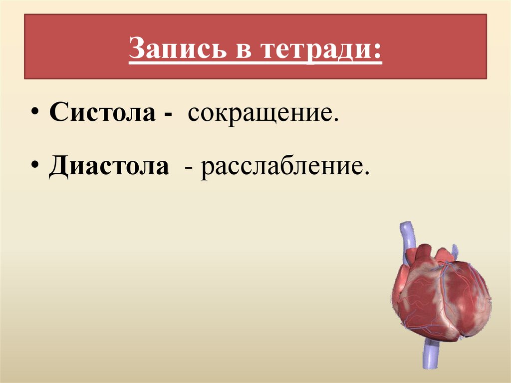 Запись в тетради: