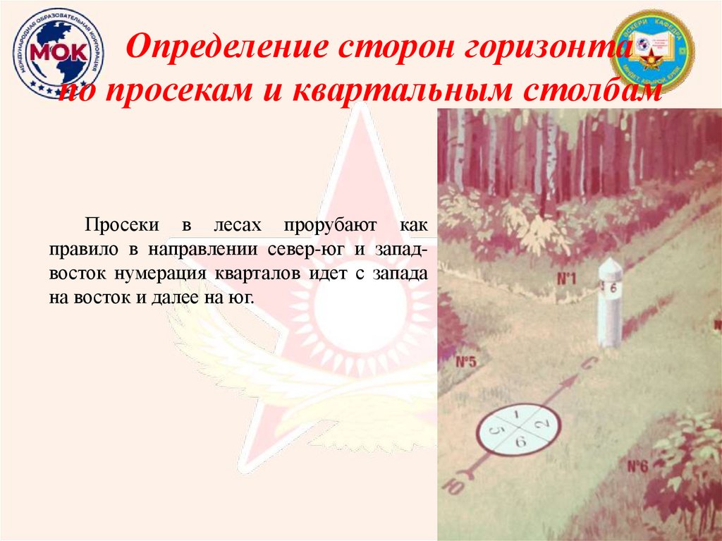 Определение сторон горизонта по просекам и квартальным столбам