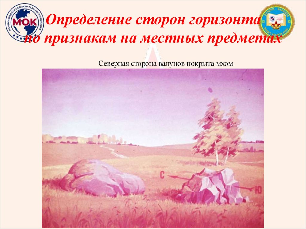 Определение сторон горизонта по признакам на местных предметах