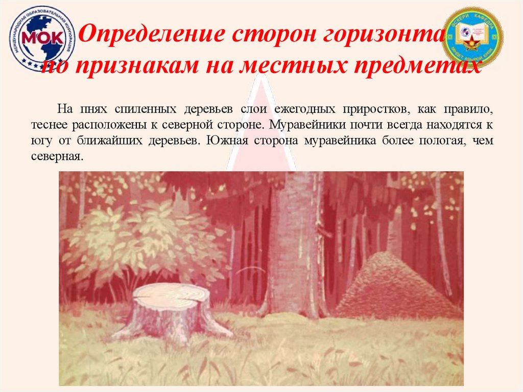 Определение сторон горизонта по признакам на местных предметах