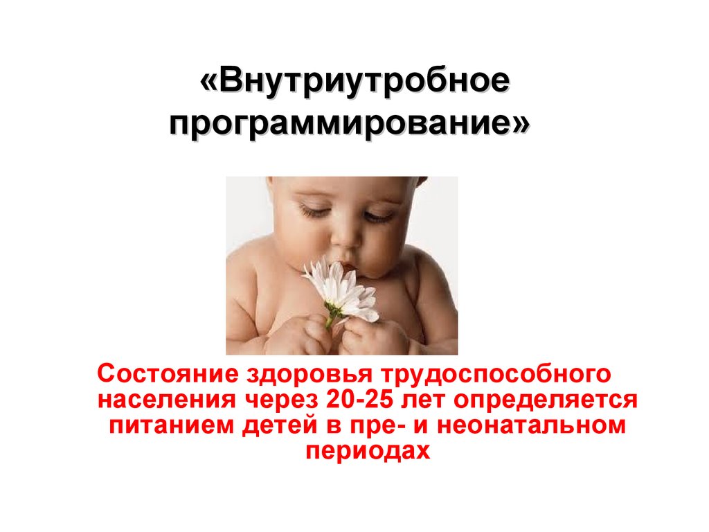 Основные разделы Программы