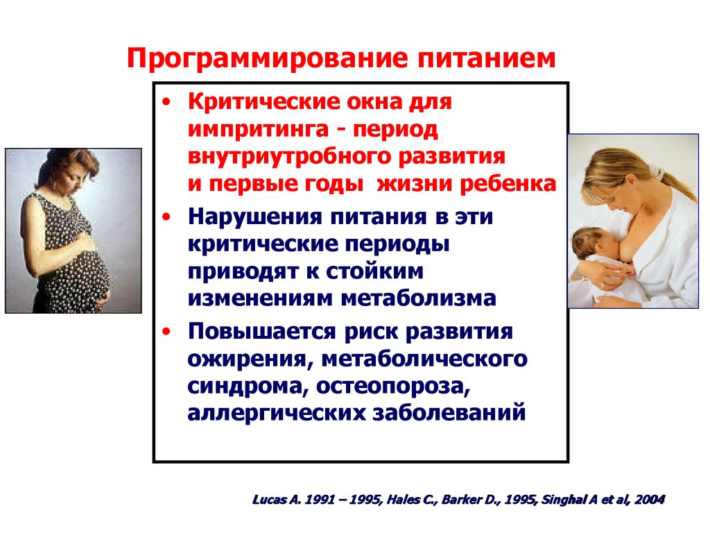 «Диетология» развития -