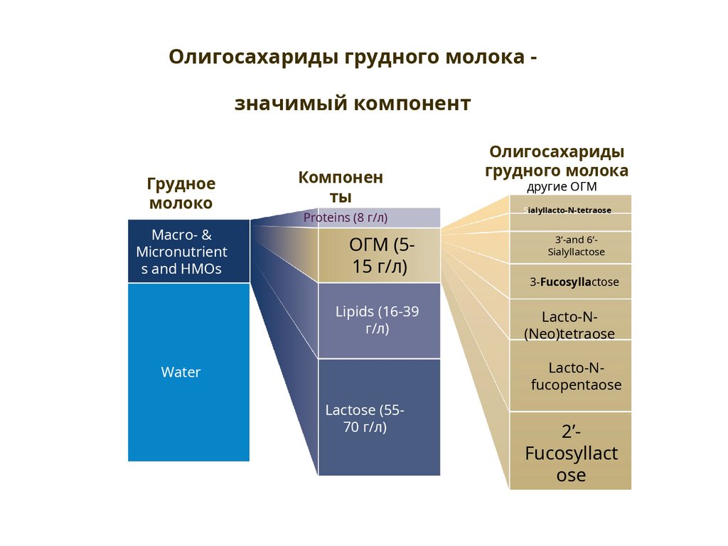 Женское молоко золотой стандарт питания ребенка грудного возраста