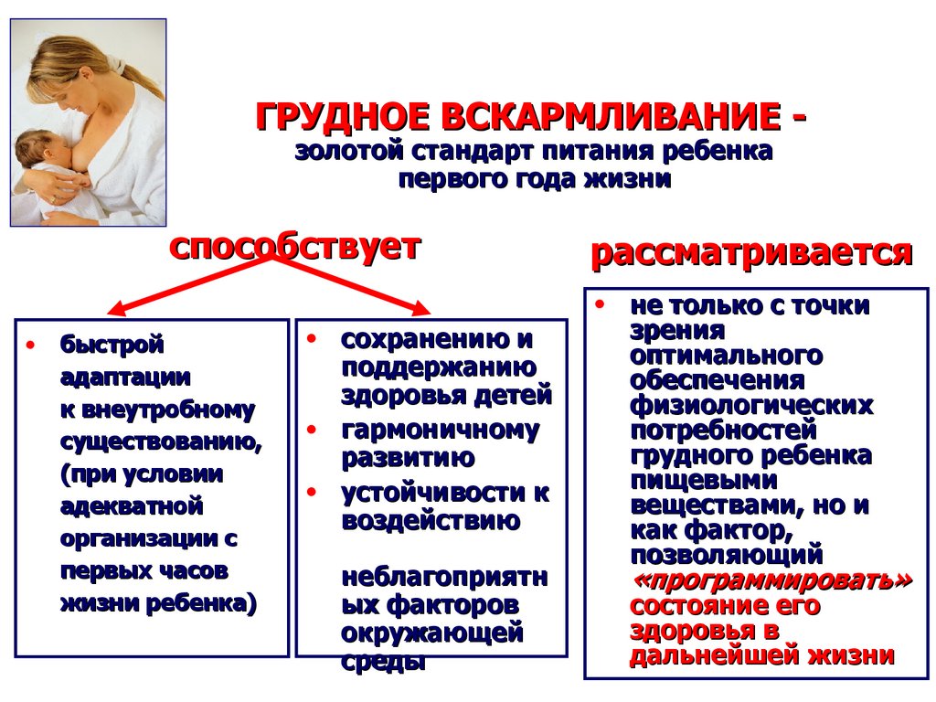 Функции олигосахаридов грудного молока