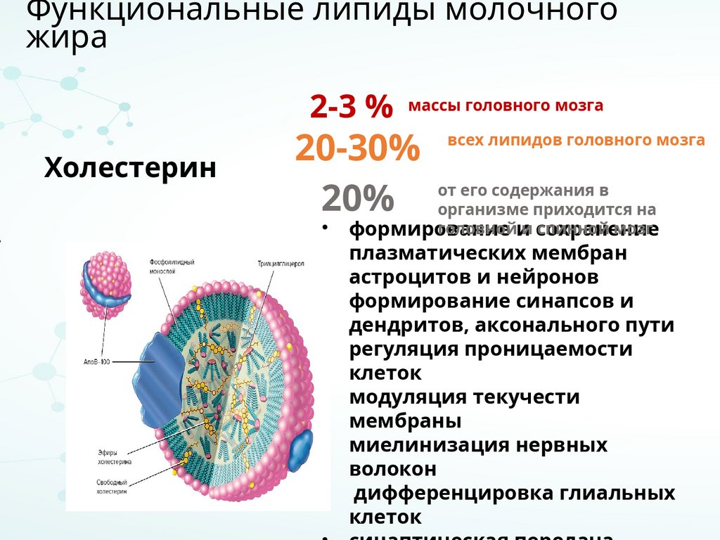 Функциональные липиды молочного жира