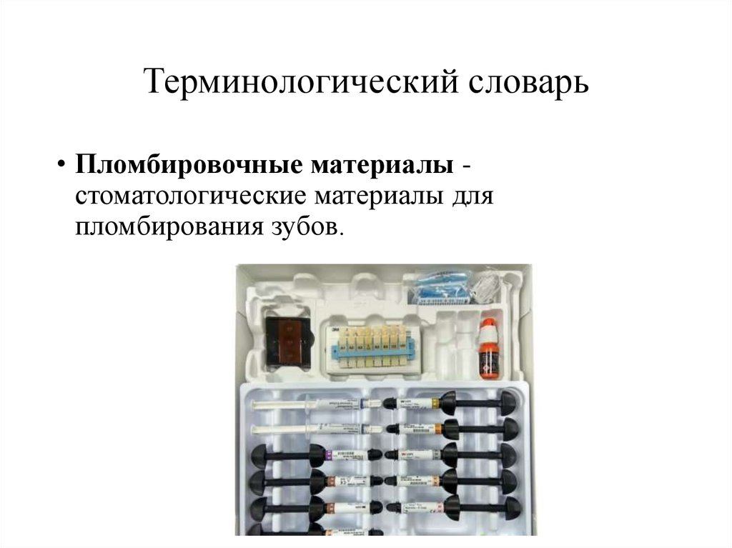 Терминологический словарь