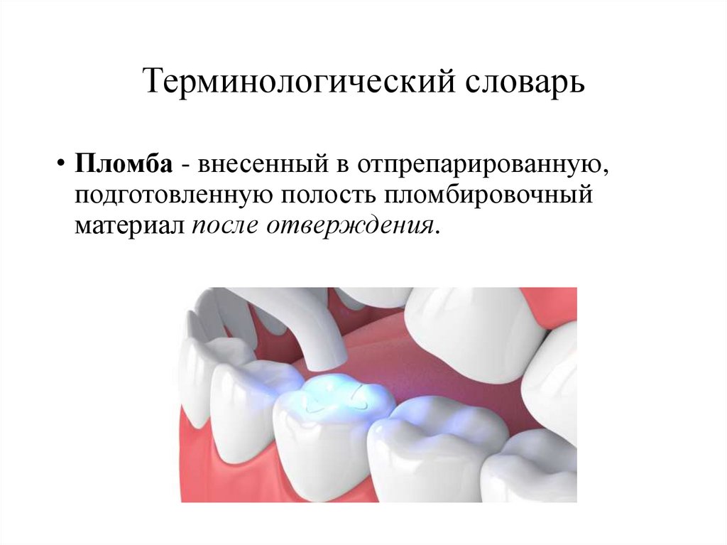 Терминологический словарь