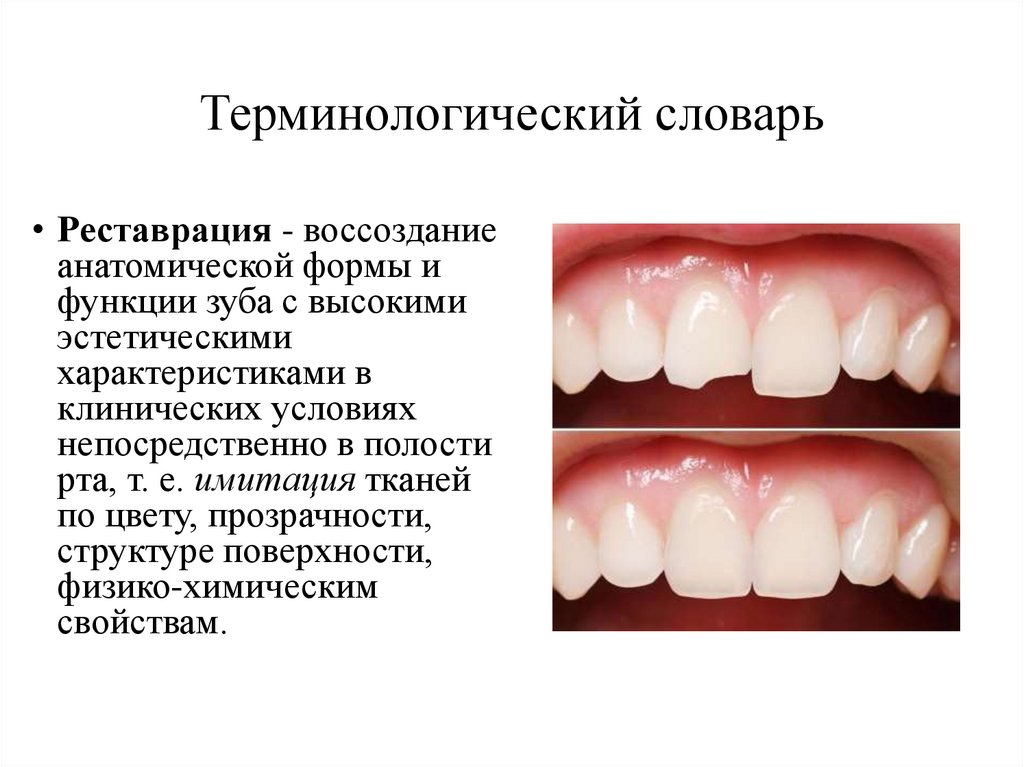 Терминологический словарь