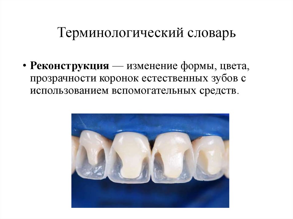 Терминологический словарь