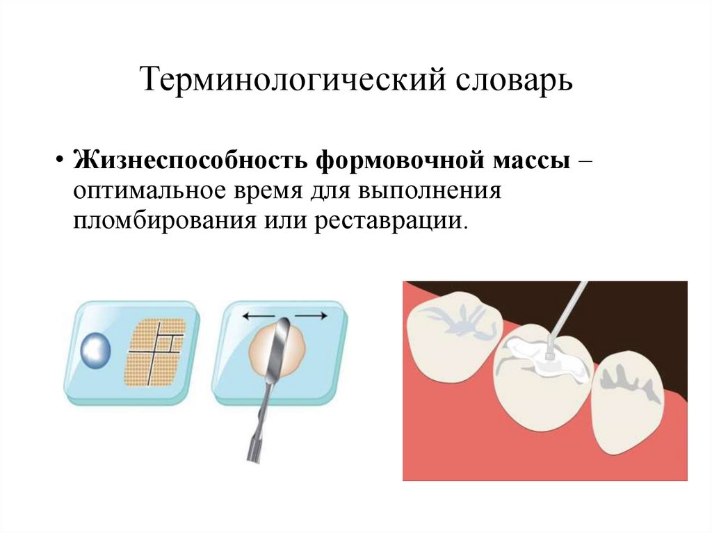 Терминологический словарь
