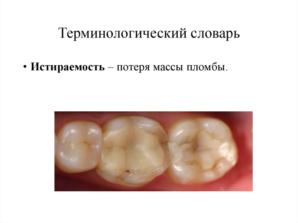 Терминологический словарь