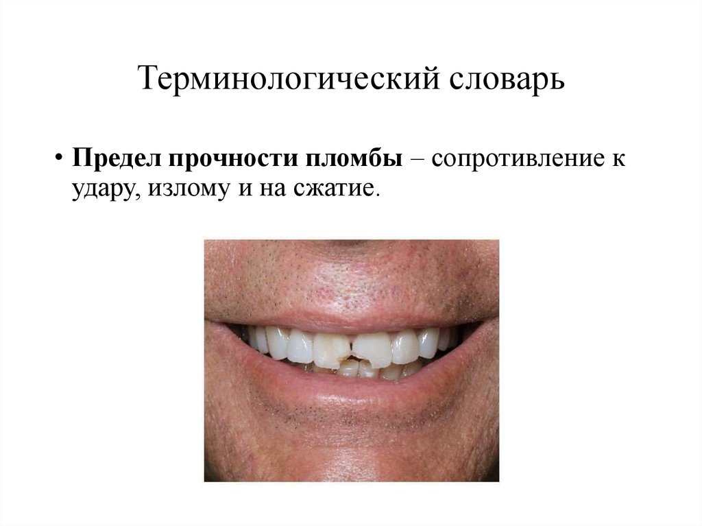 Терминологический словарь