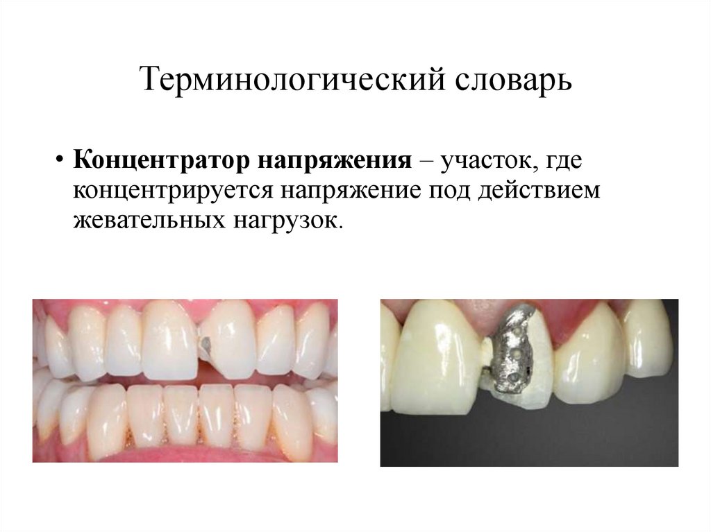 Терминологический словарь