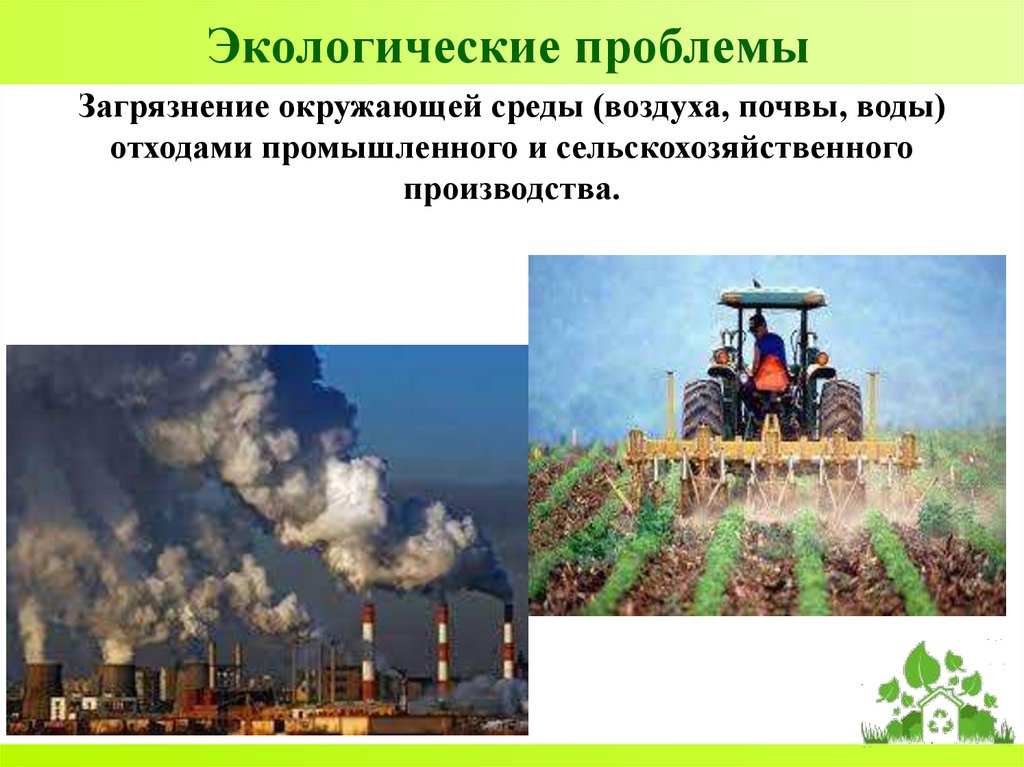 Экологические проблемы