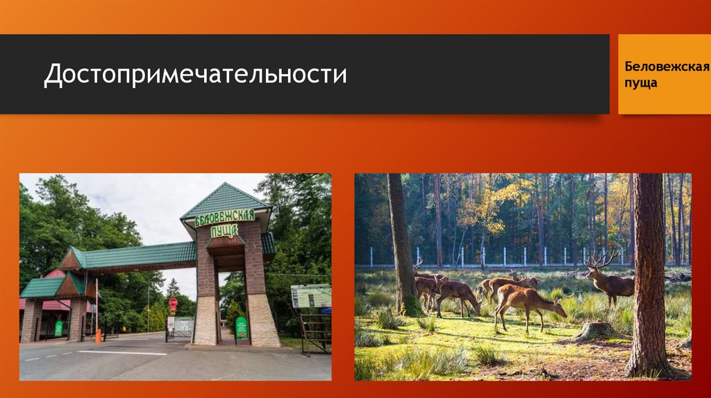 Достопримечательности