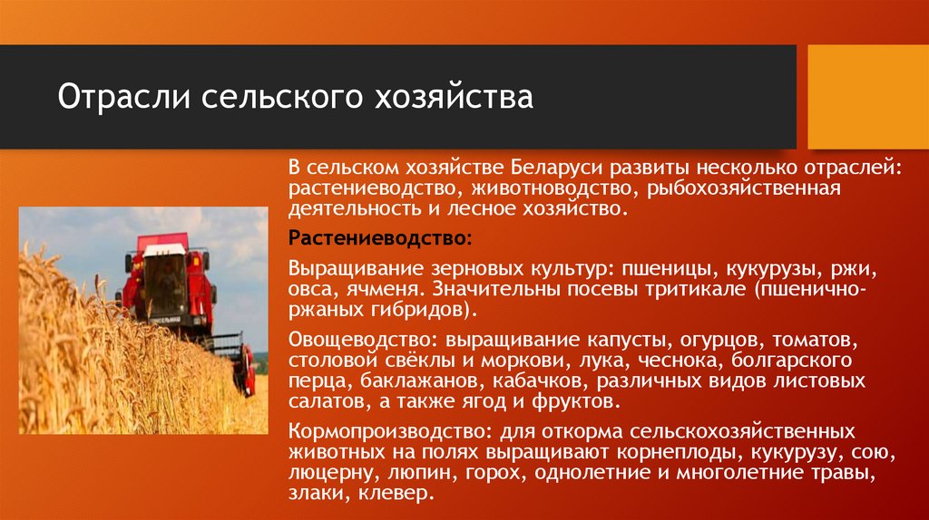 Отрасли сельского хозяйства