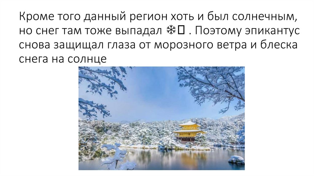 Кроме того данный регион хоть и был солнечным, но снег там тоже выпадал ❄️ . Поэтому эпикантус снова защищал глаза от морозного