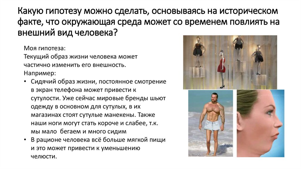 Какую гипотезу можно сделать, основываясь на историческом факте, что окружающая среда может со временем повлиять на внешний вид