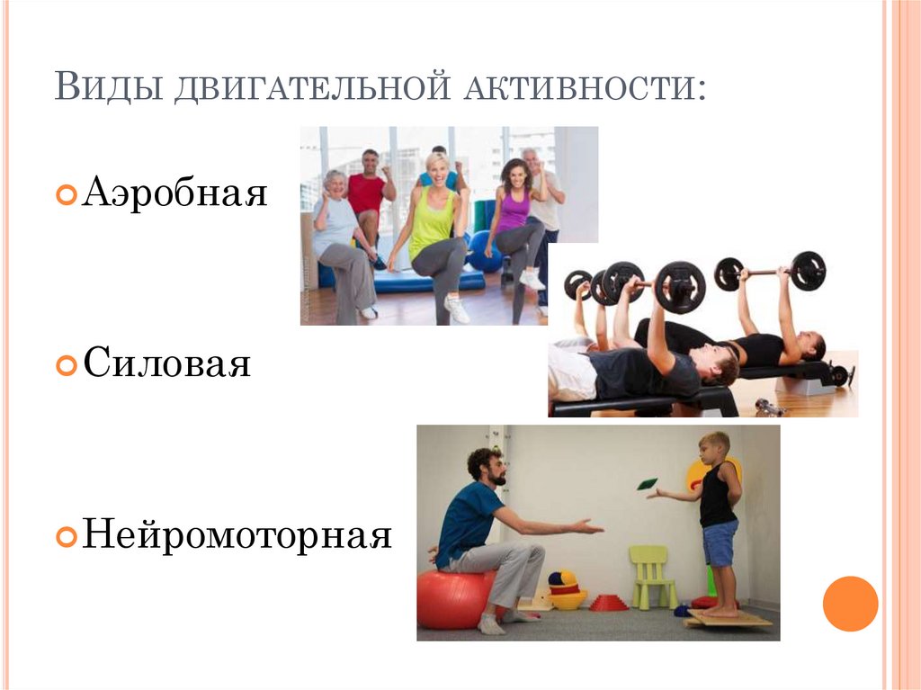 Виды двигательной активности: