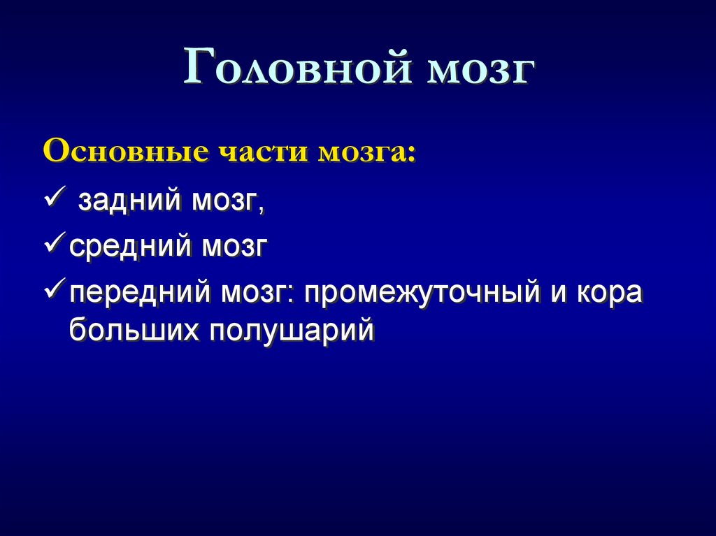 Головной мозг