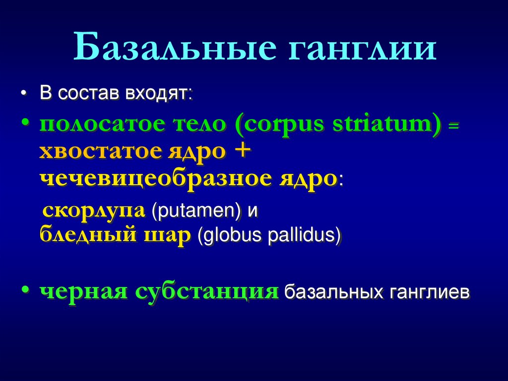 Базальные ганглии