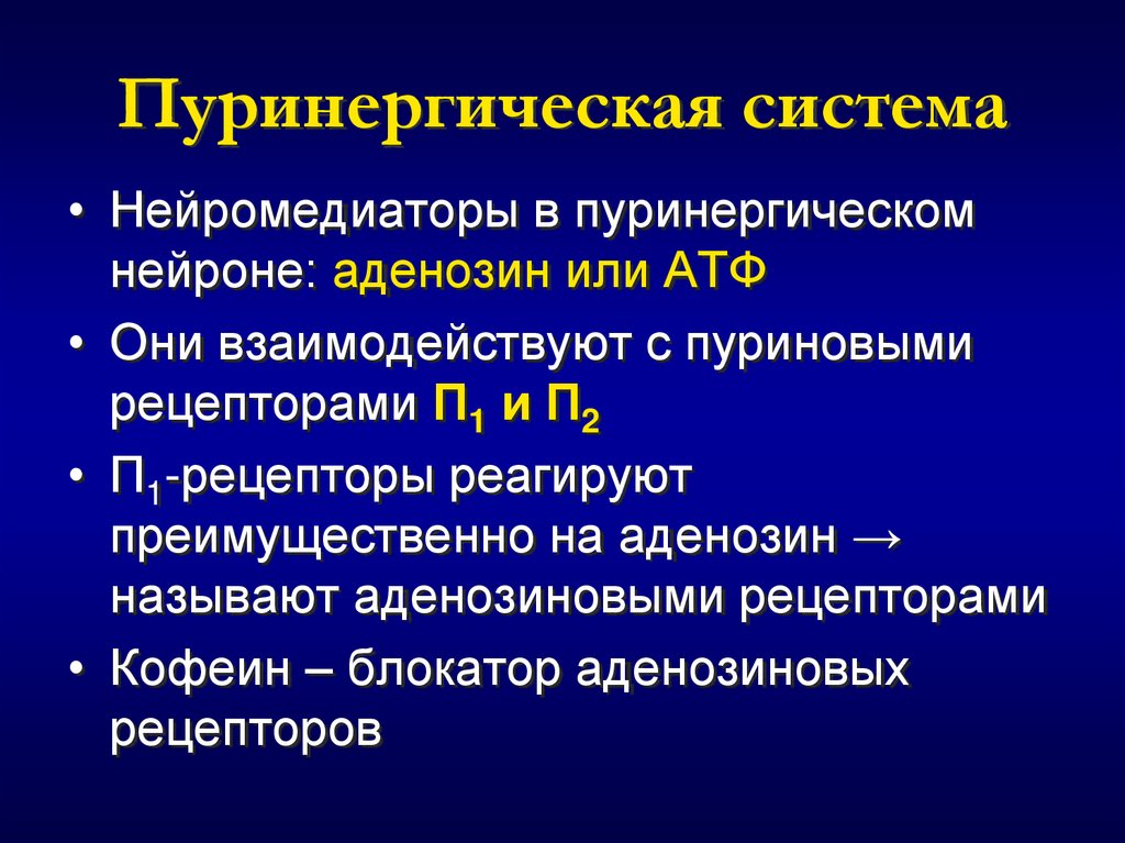 Пуринергическая система