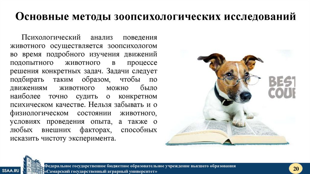 Основные методы зоопсихологических исследований