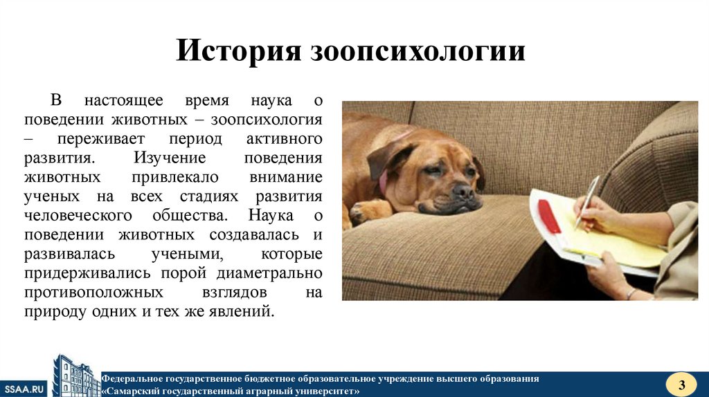 История зоопсихологии