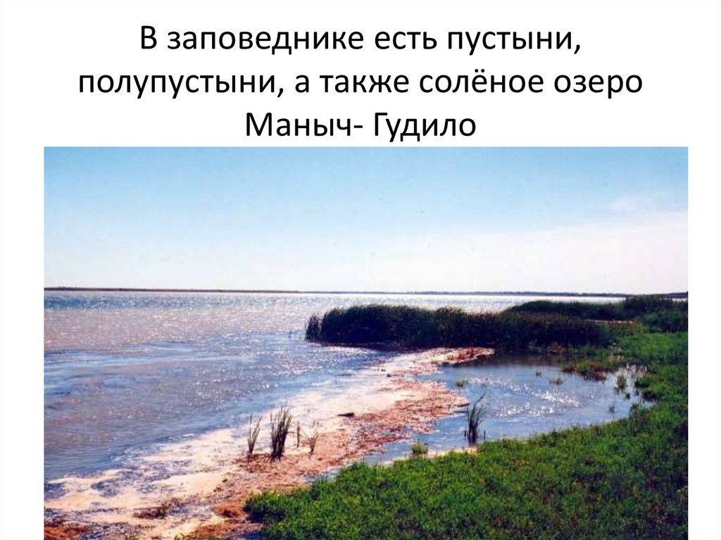 В заповеднике есть пустыни, полупустыни, а также солёное озеро Маныч- Гудило