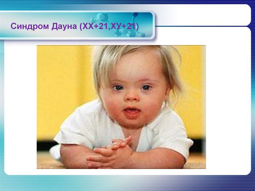 Заполните таблицу