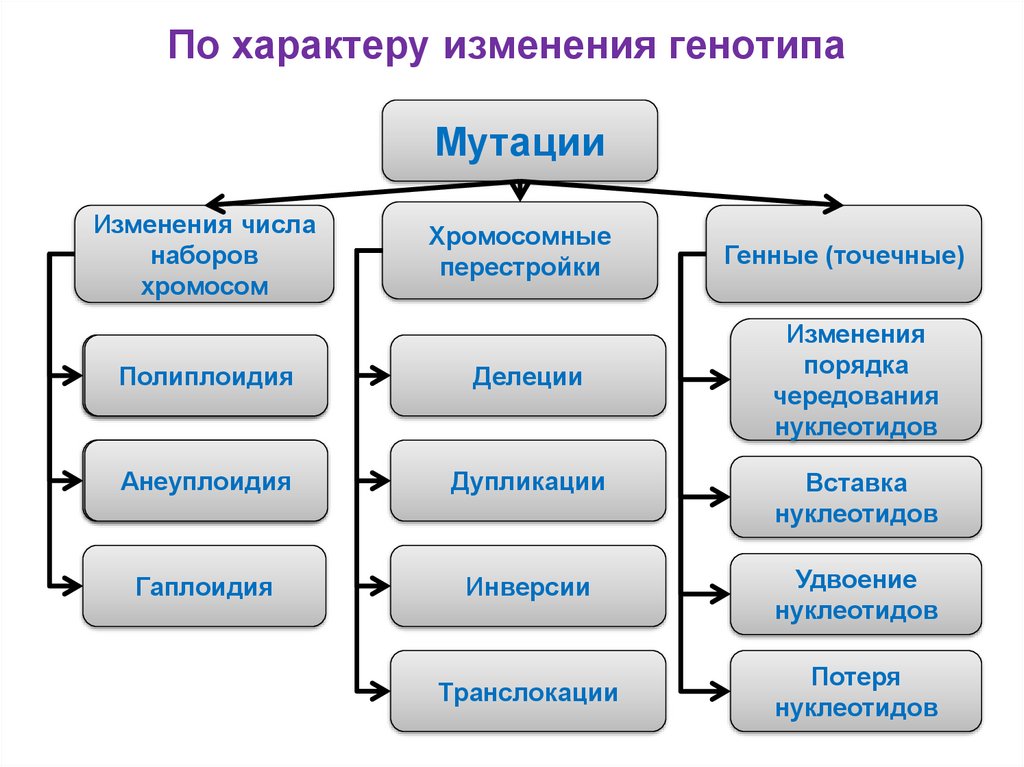 Типы изменчивости