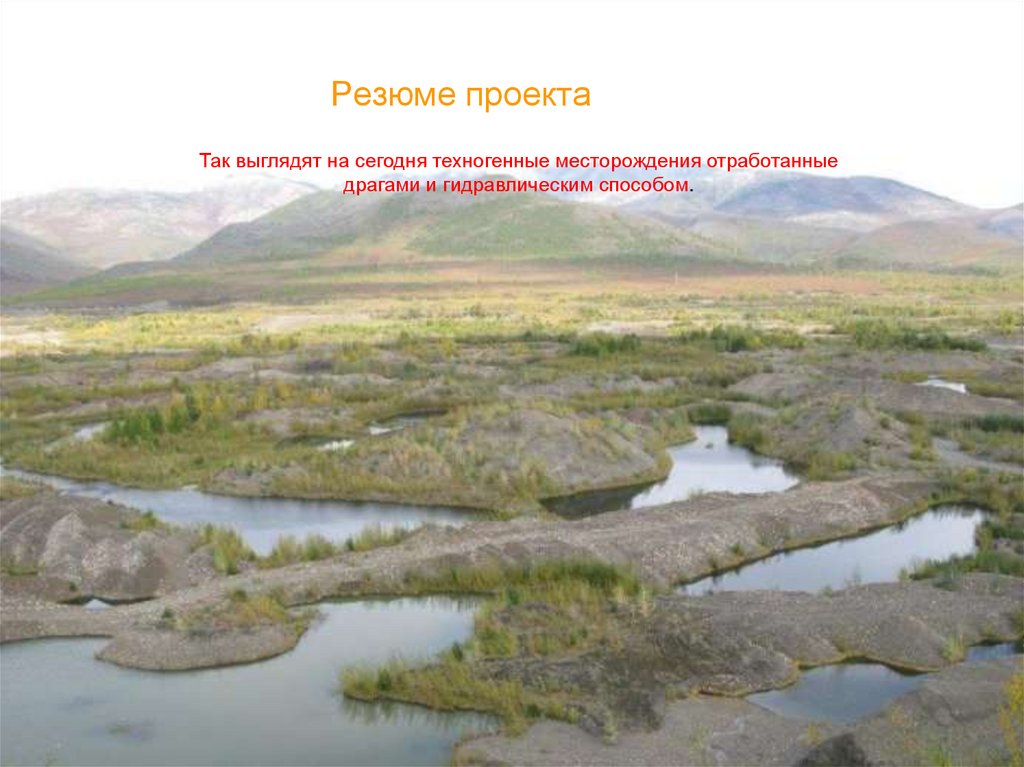 Резюме проекта