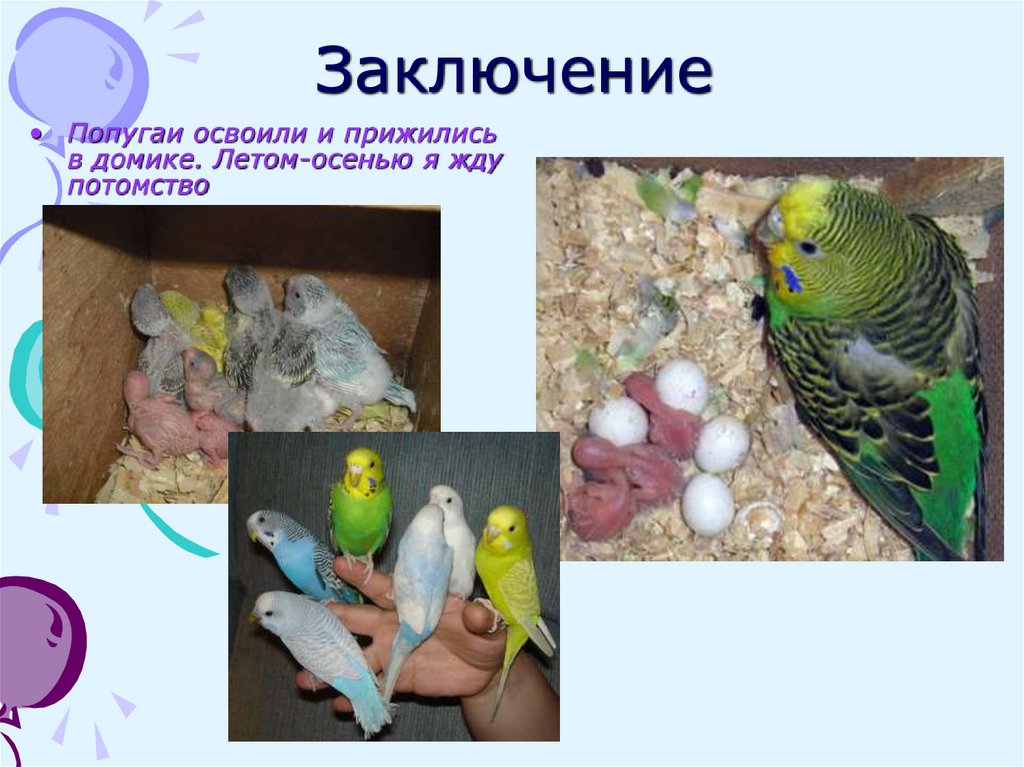 Заключение