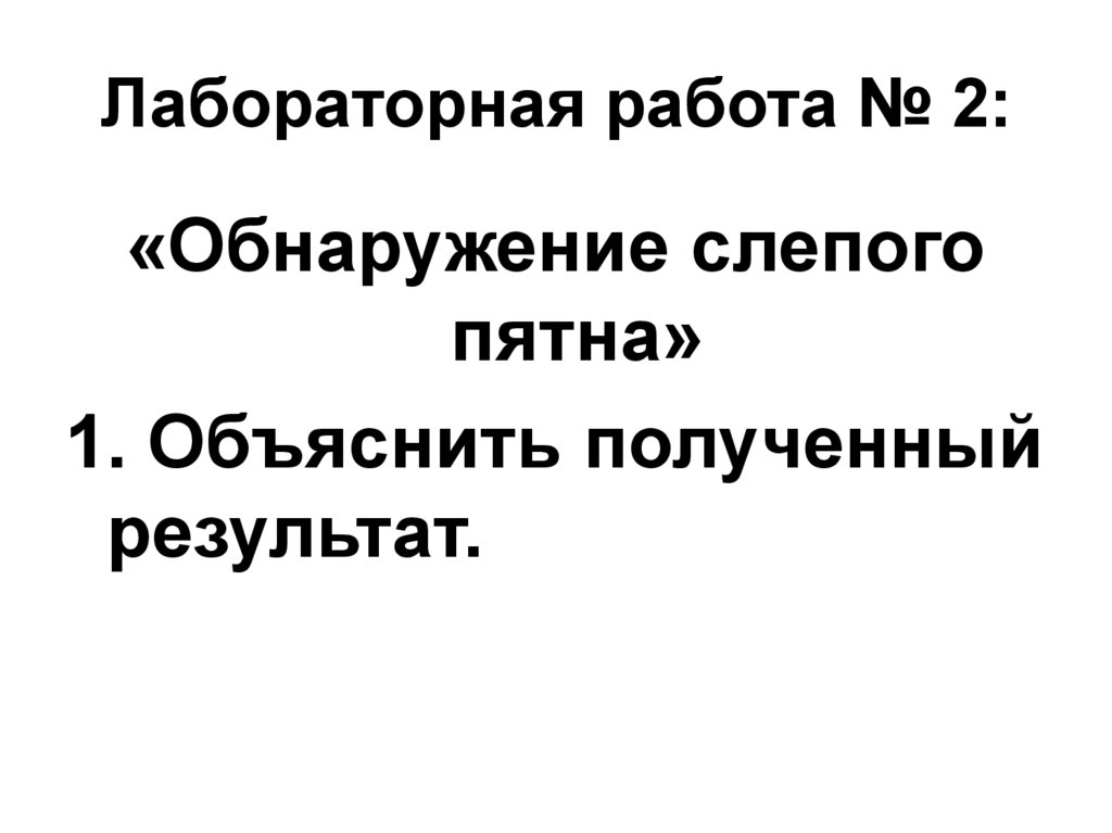 Лабораторная работа № 2: