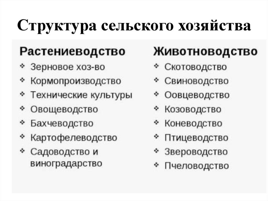 Структура сельского хозяйства