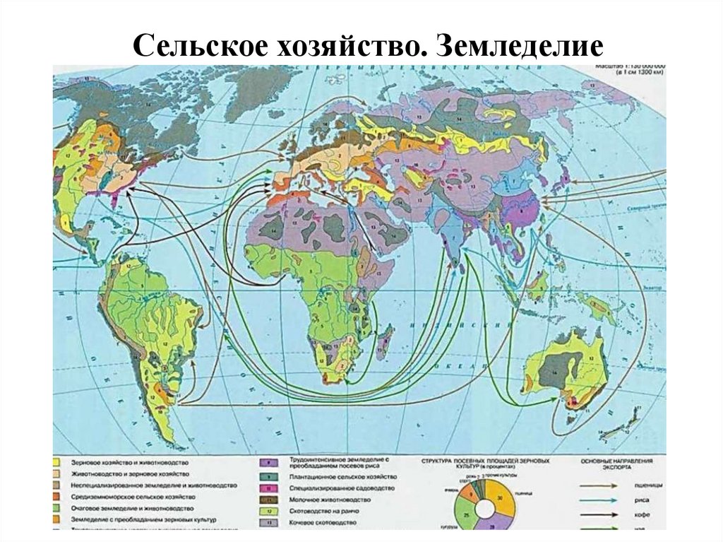 Сельское хозяйство. Земледелие