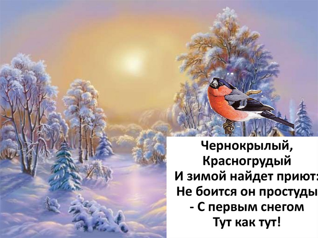 Примеры и контрпримеры 4 класс математика презентация Презентация "Гуманизм как сущностная характеристика духовно-нравственной культур