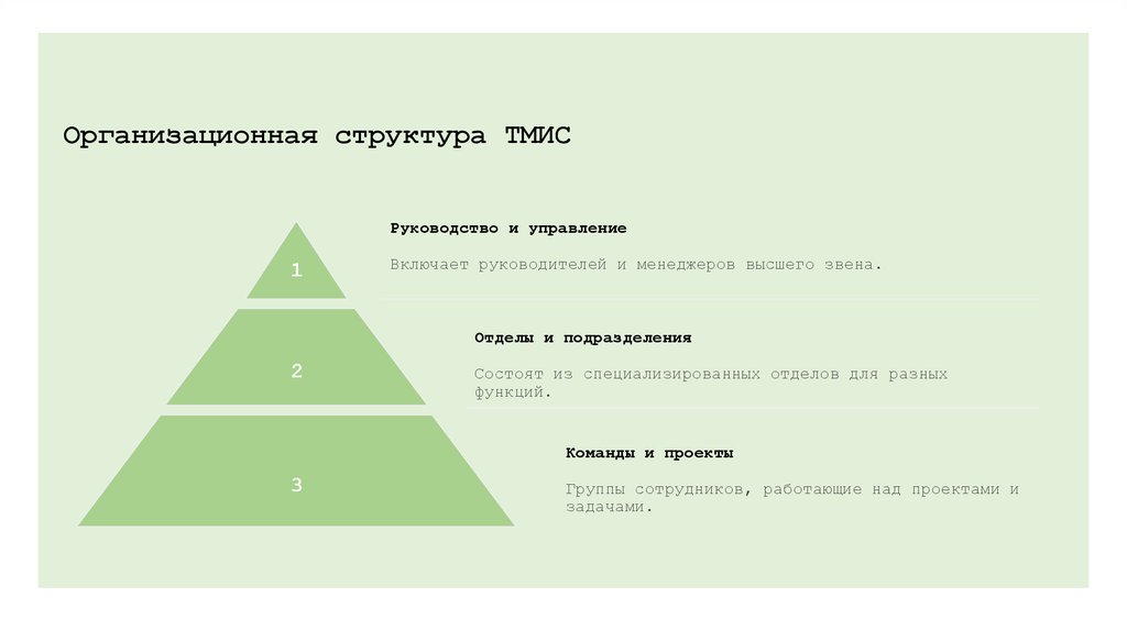 Организационная структура ТМИС