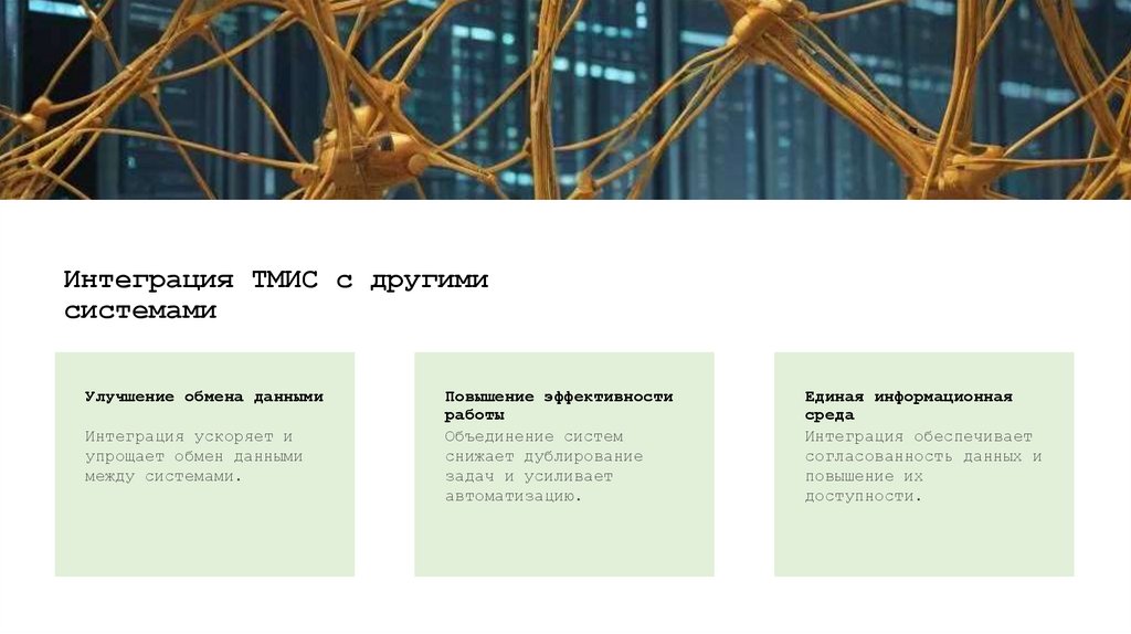Интеграция ТМИС с другими системами