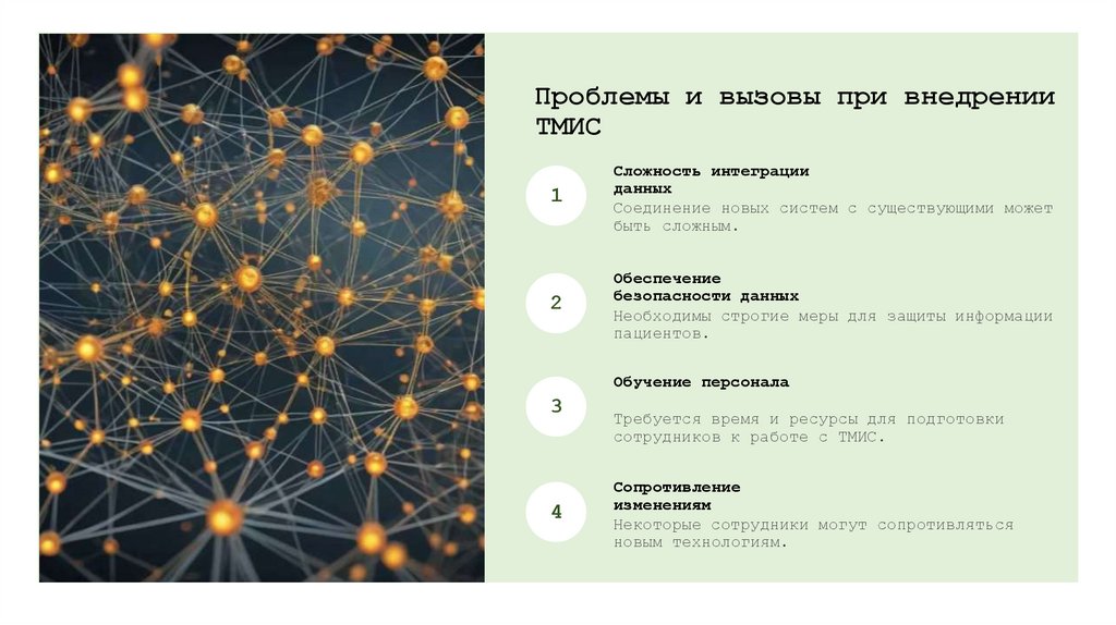 Проблемы и вызовы при внедрении ТМИС