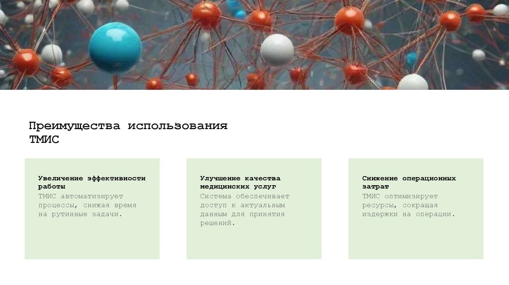 Преимущества использования ТМИС