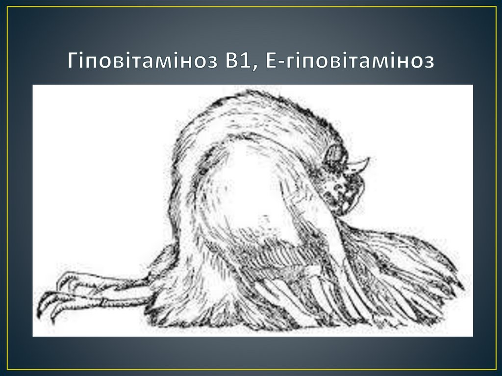 Гіповітаміноз В1, Е-гіповітаміноз