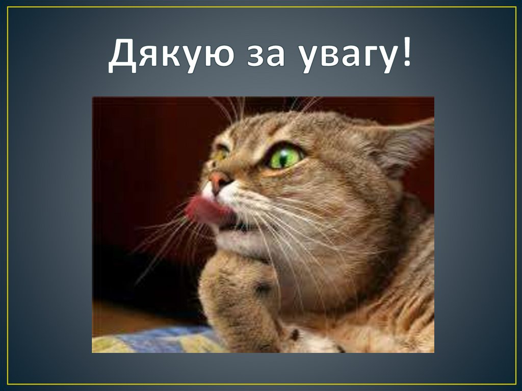 Дякую за увагу!