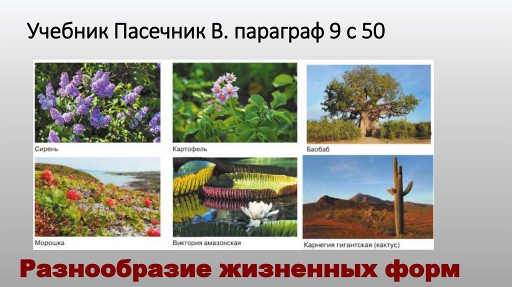 Учебник Пасечник В. параграф 9 с 50