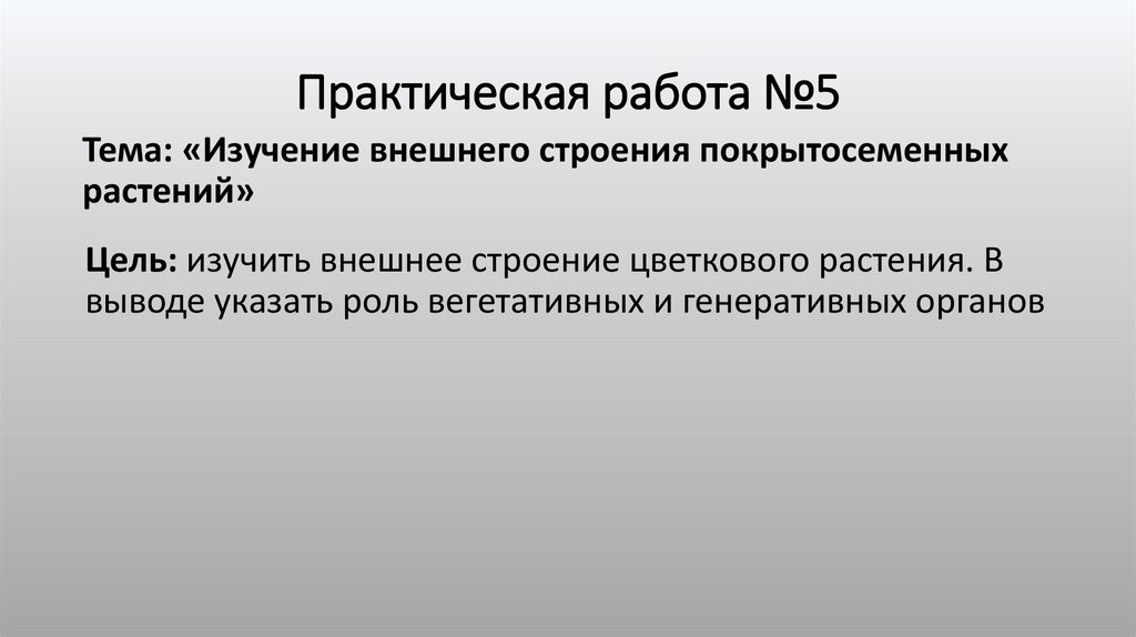 Практическая работа №5
