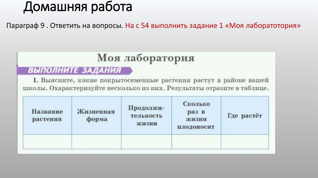 Домашняя работа