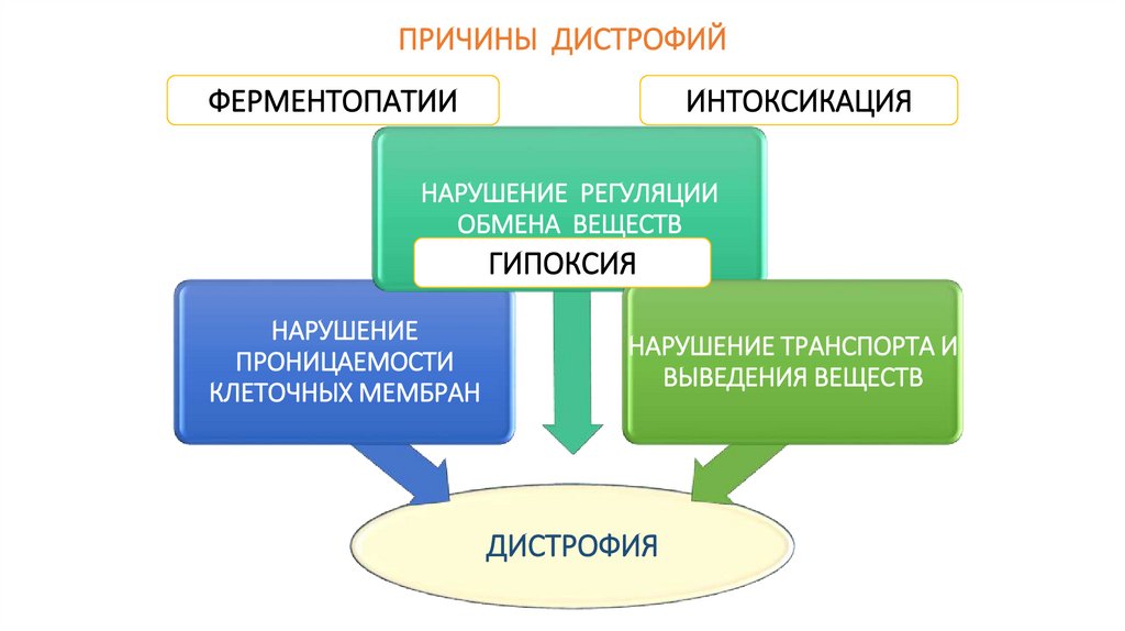 ПРИЧИНЫ ДИСТРОФИЙ