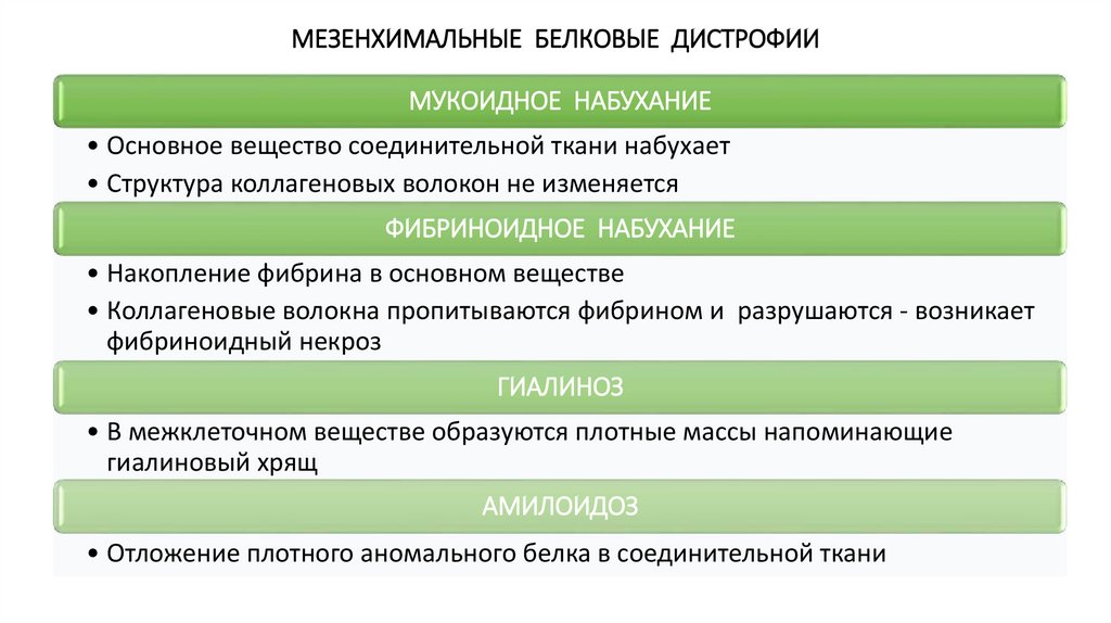 МЕЗЕНХИМАЛЬНЫЕ БЕЛКОВЫЕ ДИСТРОФИИ